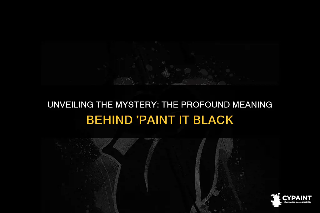 what is the meaning of rolling stones paint it blac