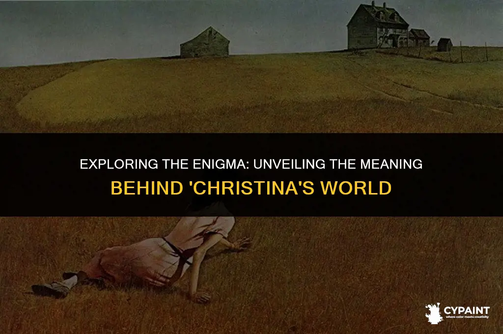 what is the meaning of the painting christina