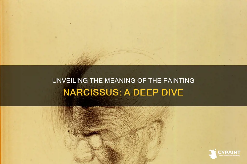 what is the meaning of the painting narcissus