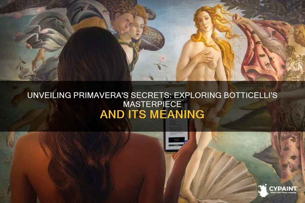 what is the meaning of the primavera painting