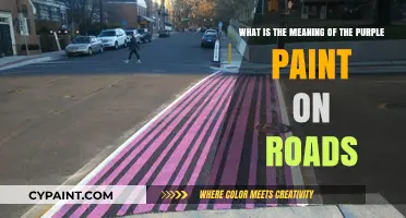 Decoding Road Markings: The Significance of Purple Paint on Streets
