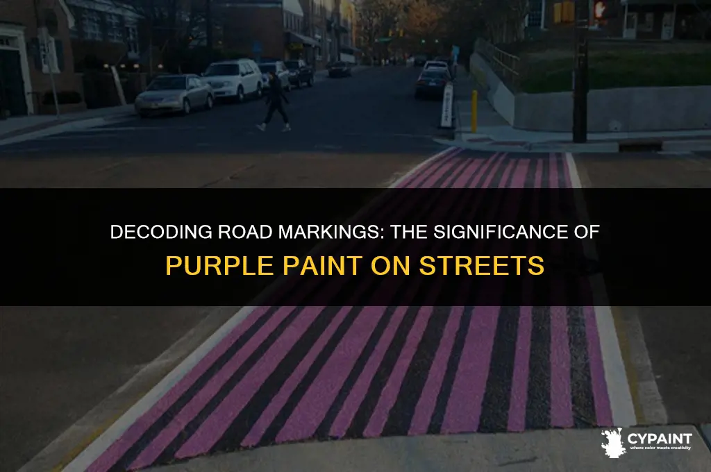 what is the meaning of the purple paint on roads