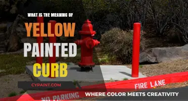 Understanding Yellow Painted Curbs: Rules, Restrictions, and Parking Regulations