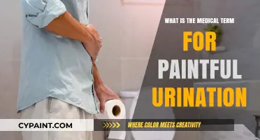 Understanding Dysuria: The Medical Term for Painful Urination Explained