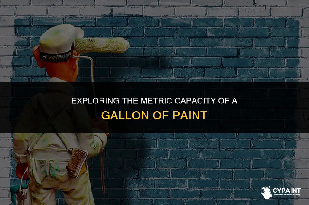 what is the metric capacity of a galllon of paint