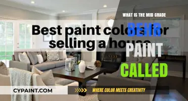 Discover Behr's Mid-Grade Paint: Quality and Durability Explained