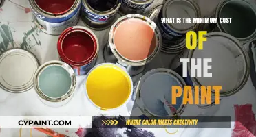 Affordable Painting Solutions: Discover the Lowest Cost for Quality Paint