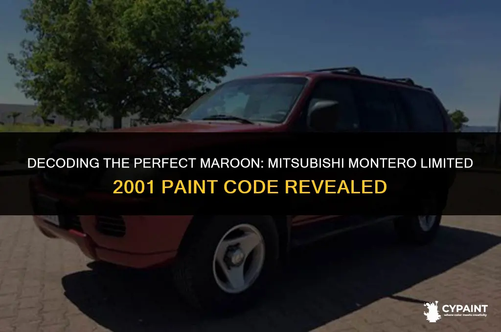 what is the mitsubishi montero limited 2001 maroon paint code