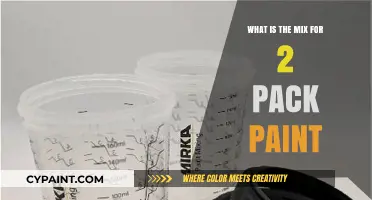 Understanding the Perfect Ratio for 2 Pack Paint Mixing