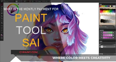 Explore Paint Tool SAI's Monthly Payment Options