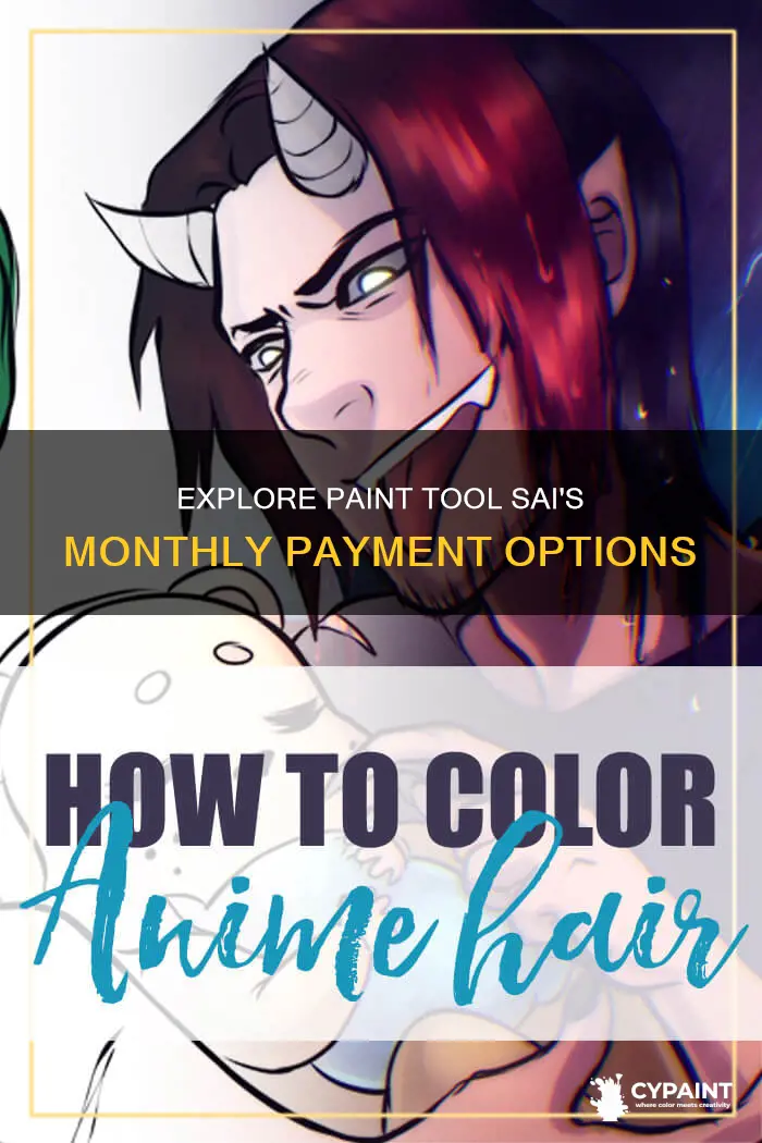 what is the montly payment for paint tool sai