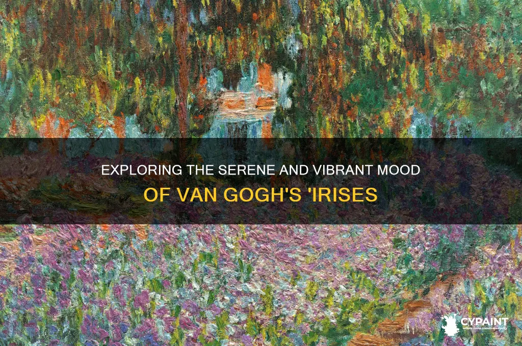 what is the mood of the painting irises