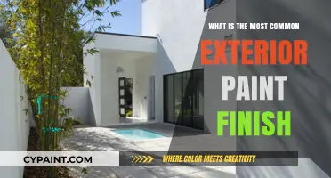 Discover the Most Popular Exterior Paint Finish for Homes