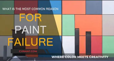 Understanding Paint Failure: Common Causes and Prevention