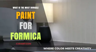Best Durable Paint Options for Long-Lasting Formica Surfaces