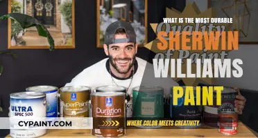 Discover Sherwin-Williams' Most Durable Paint for Long-Lasting Results