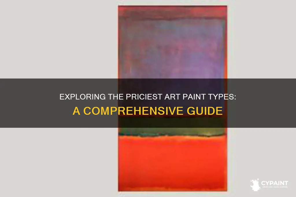 what is the most expensive art paint type