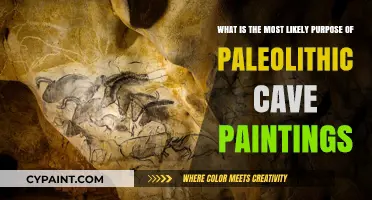 Unlocking the Mysteries: The Enigmatic Purpose of Paleolithic Cave Paintings
