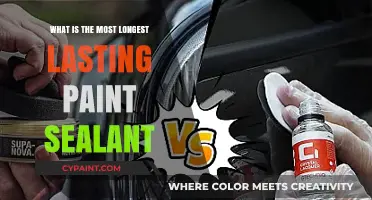 Discover the Ultimate Long-Lasting Paint Sealant for Maximum Protection