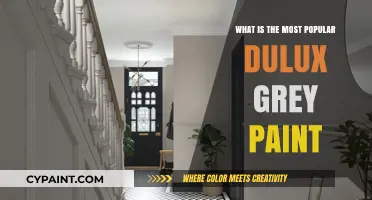 Discover the Most Popular Dulux Grey Paint for Modern Homes