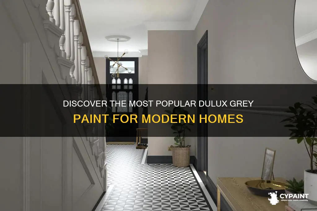 what is the most popular dulux grey paint