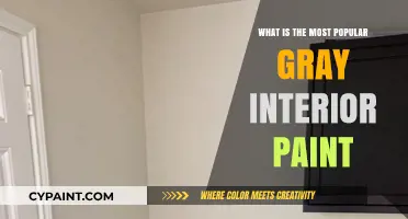 Discover the Most Popular Gray Interior Paint for Modern Homes