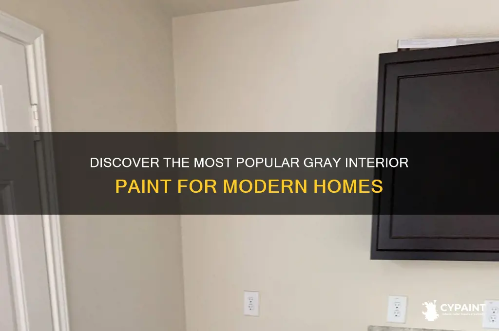 what is the most popular gray interior paint