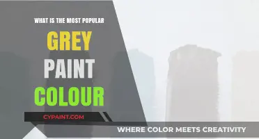 Discover the Most Popular Grey Paint Colour for Modern Homes