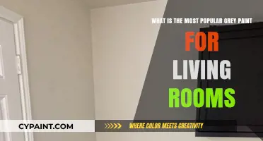 Discover the Most Popular Grey Paint Shades for Living Rooms