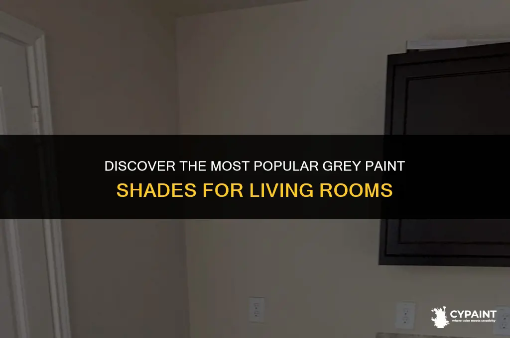 what is the most popular grey paint for living rooms