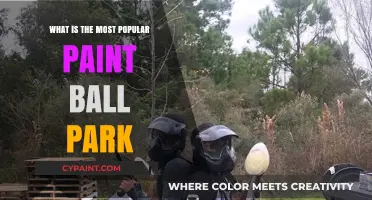 Discover the Ultimate Paintball Park: A Thrilling Adventure Awaits!