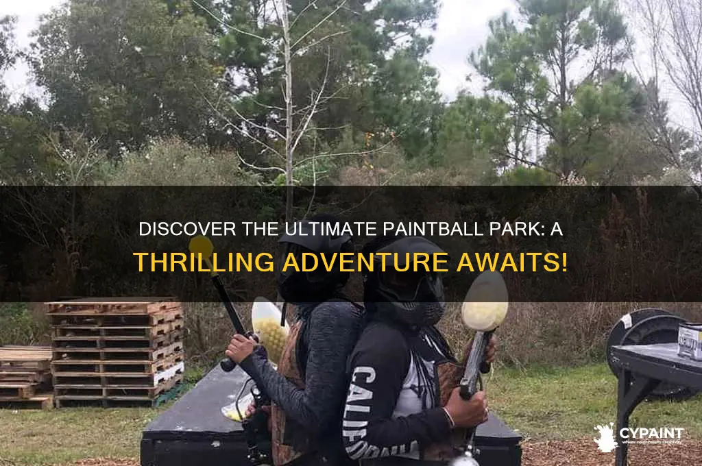 what is the most popular paint ball park
