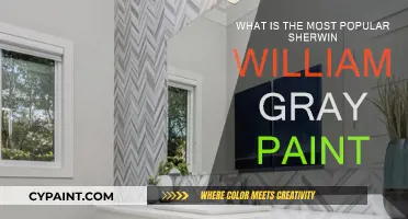 Sherwin-Williams' Most Popular Gray Paint Colors Revealed