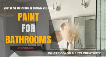Discover the Top Sherwin-Williams Paint Picks for Your Bathroom Oasis