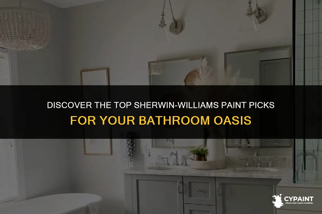 what is the most popular sherwin williams paint for bathrooms