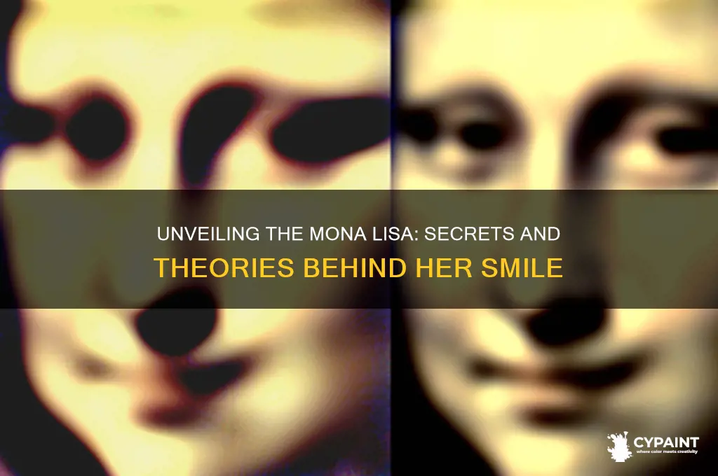 what is the mystery behind mona lisa painting