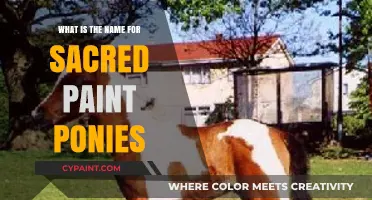 Sacred Paint Ponies: Unveiling the Mystical Name and Cultural Significance