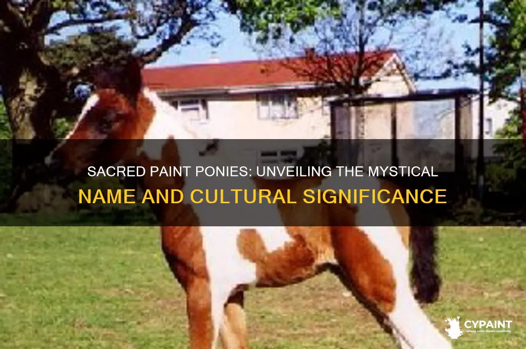 what is the name for sacred paint ponies
