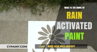 Discover Rain-Activated Paint: The Innovative Name and Technology Behind It