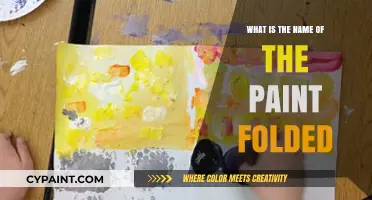 Unveiling the Mystery: What is the Name of the Paint Folded?