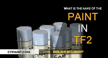 TF2 Paint Names: A Guide to Customization