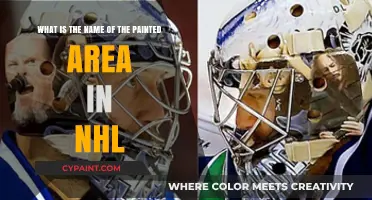 Decoding the Rink: NHL's Painted Zones Explained