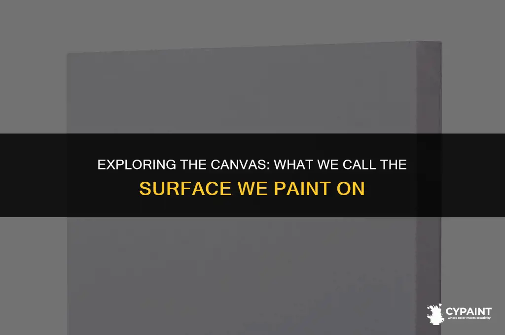 what is the name of the thing you paint on