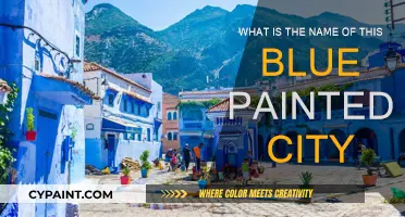 Exploring the Blue-Painted City: A Unique Art Adventure