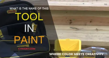 Unveiling the Paint Tool's Identity: What's in a Name?