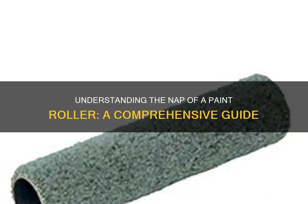 what is the nap of a paint roller