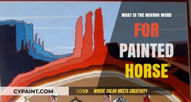 Discovering the Navajo Word for Painted Horse: A Cultural Exploration