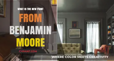 Benjamin Moore's Latest Paint Innovation: Features, Benefits, and Uses