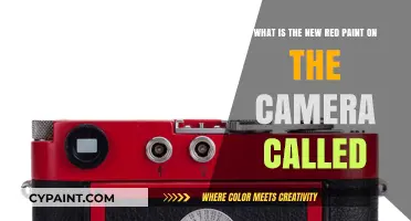 Exploring the Vibrant World of Camera Red Paints