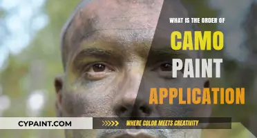 Mastering Camo Paint Application: Step-by-Step Order Guide